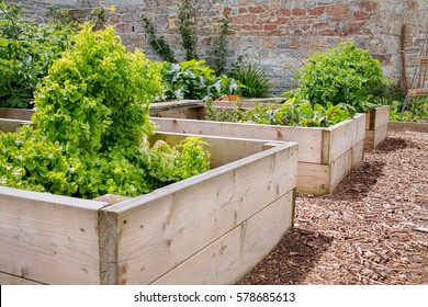 Raised Bed Vegetable & Flower Garden