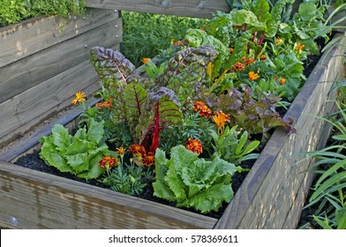 4,589 Raised Flower Bed Images, Stock Photos & Vectors | Shutterstock