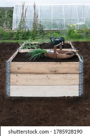  Raised Beds Made From Pallet Collars  On A Small Holding Allotment  Showing Fresh Compost And Newly Planted Veg