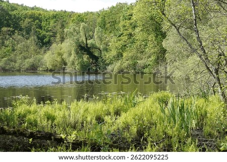Raised bog called Devil's Lake (Teufelssee) in Berlin's Köpenick locality