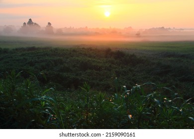 Raised Bog Golden Majestic Sunrise