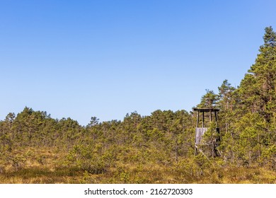 Raised Bog With Pine Trees And A Hunting Tower