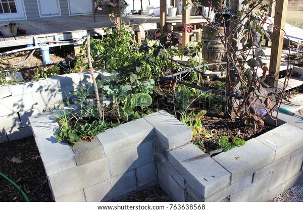 Raised Cement Block Garden Bed Stock Photo Edit Now 763638568