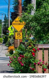 Raised Crosswalk At City Park