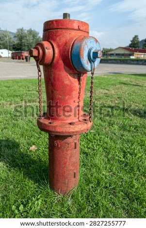 A raised fire hydrant is painted red and blue in the grass