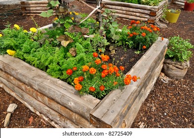 Raised Flower Bed In Wooden Frame