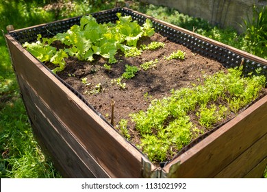 Raised Garden Bed