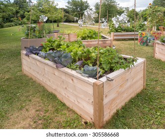 Raised Garden Beds In Community Garden