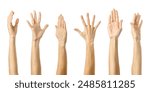 Raised hand. Multiple images set of female caucasian hand with french manicure showing Raised hand gesture isolated over white background