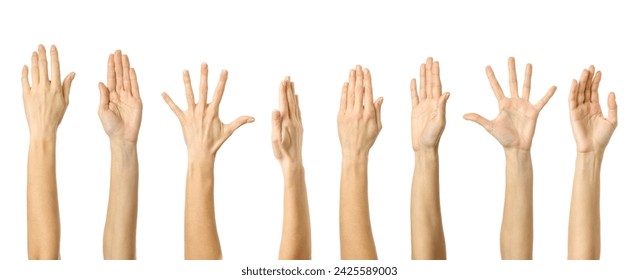 Raised hand. Multiple images set of female caucasian hand with french manicure showing Raised hand gesture isolated over white background - Powered by Shutterstock