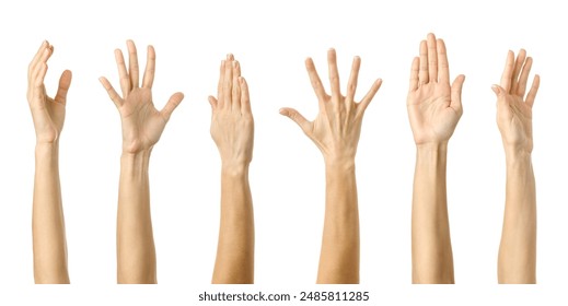 Raised hand. Multiple images set of female caucasian hand with french manicure showing Raised hand gesture isolated over white background - Powered by Shutterstock