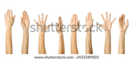 Raised hand. Multiple images set of female caucasian hand with french manicure showing Raised hand gesture isolated over white background