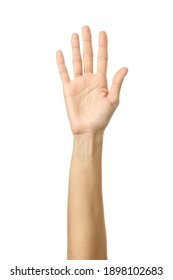 Raised Hand Voting Or Reaching. Woman Hand Gesturing Isolated On White