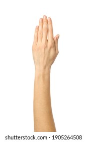 Raised Hand Voting Or Reaching. Woman Hand Gesturing Isolated On White