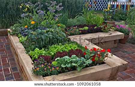 Raised vegetable garden with Borage, tomatoes, lettuce and pansies in a tiled space