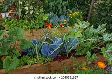 10,113 Raised vegetable garden bed Images, Stock Photos & Vectors ...