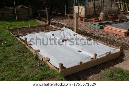 Raised Wooden Bed Covered with White Fleece to Protect a Newly Planted Crop of Asparagus Crowns from Spring Frost in a Vegetable Garden in Rural Devon, England, UK