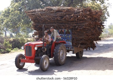 RAJASTHAN, INDIA - FEB. 24: timber transport with tractor on country road on Feb. 24, 2010 in Rajasthan, India.