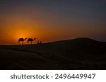 Rajasthan - Indian cameleers (camel drivers) with camel silhouette in Sam sand dunes of Thar desert on sunset. Jaisalmer, Rajasthan, India, Asia. Travel background.