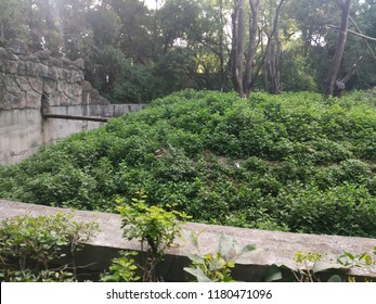 Rajiv Gandhi Zoological Park,Pune,India