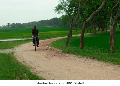 Rajshahi, Bangladesh - August 17, 2020: An old man riding cycle on a village road, rural transportation system in bangladesh.