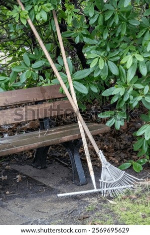 Similar – Image, Stock Photo spring cleaning