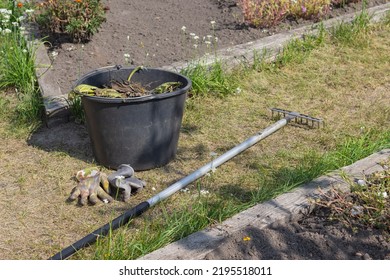 Rake On The Ground In The Garden. Garden Cleaning. Garden Tools.