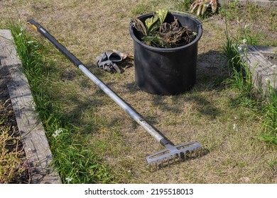 Rake On The Ground In The Garden. Garden Cleaning. Garden Tools.