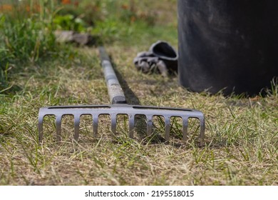 Rake On The Ground In The Garden. Garden Cleaning. Garden Tools.