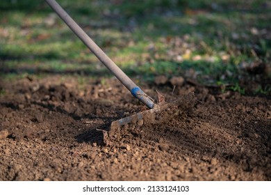 Rake shoveling the soil in preparation for planting. Closeup. - Powered by Shutterstock