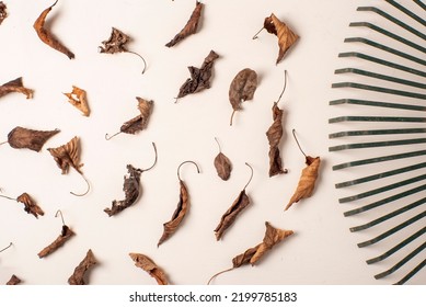 Rake Sweeping Leaves On White Background, Studio Photography Autumn Concept. Dry Leaves, Deciduous, Maintenance And Cleaning Of The Garden