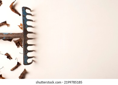 Rake Sweeping Leaves On White Background, Studio Photography Autumn Concept. Dry Leaves, Deciduous, Maintenance And Cleaning Of The Garden, Place To Writte