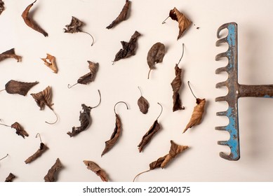 Rake Sweeping Leaves On White Background, Studio Photography Autumn Concept. Dry Leaves, Deciduous, Maintenance And Cleaning Of The Garden