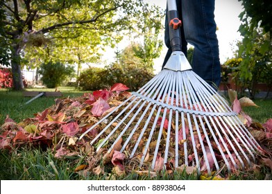 Raking Leaves.