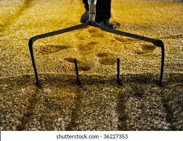 Raking Malted Barley