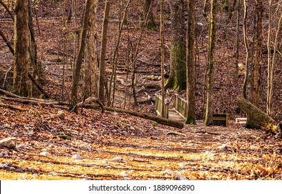 Raleigh, North Carolina USA-01 07 2021: A Hiking Trail In Winter At Umstead State Park.