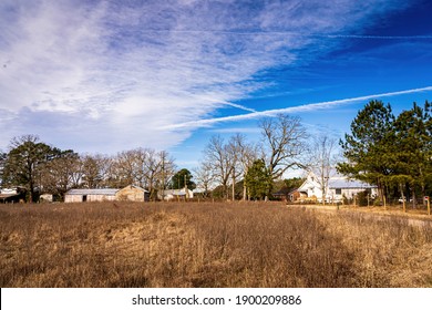 Raleigh, North Carolina USA-01 22 2021: A Landscape View Of Williamson Preserve In Winter.