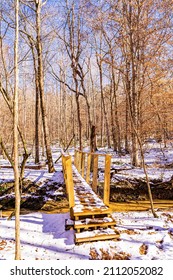 Raleigh, North Carolina USA-01 24 2022: Williamson Preserve Bootlegger's Loop Trail in Winter after Snow.