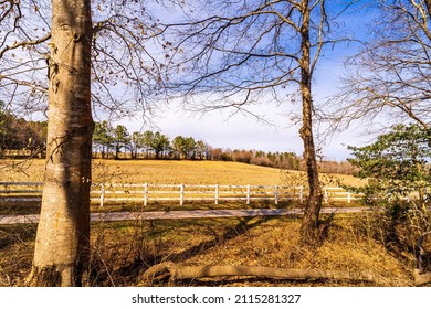 Raleigh, North Carolina USA-01 30 2022: Neuse River Greenway In Winter.