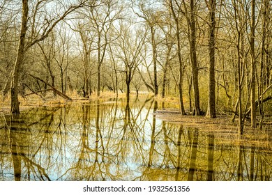 Raleigh, North Carolina USA-03 09 2021: The Neuse River Trail Is Flooded After Winter Rains.