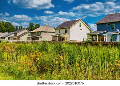 Raleigh, North Carolina USA-08 21 2021: A Protected Wetland Encroaches on Houses in a Subdivision Creating Controversy. Weeds and Cattails Grow Next to Yards.