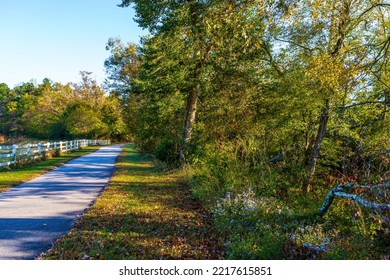 Raleigh, North Carolina USA-10 20 2022: The Neuse River Trail In Autumn Early In The Morning.