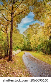 Raleigh, North Carolina USA-10 29 2021: The Neuse River Trail Is Bright With Fall Color.