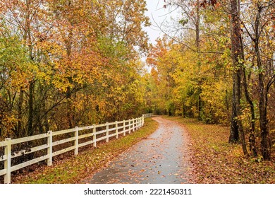 Raleigh, North Carolina USA-11 01 2022: The Neuse River Trail After An Autumn Rain Shower.