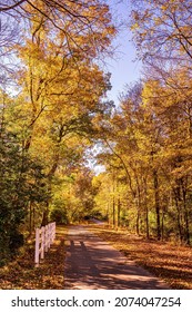 Raleigh, North Carolina USA-11 10 2021: The Neuse River Trail In Autumn.