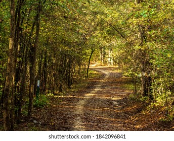 Raleigh, North Carolina/USA-10/27/2020: The Neuse River Trail Connector Is One Of The Trails At The Williamson Preserve.