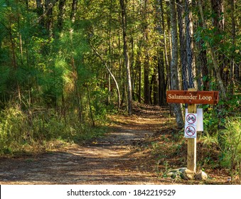 Raleigh, North Carolina/USA-10/27/2020: The Salamander Loop Is A Mountain Bike Trail At Williamson Preserve That Connects To The Neuse River Greenway