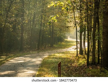 Raleigh, North Carolina/USA-10/28/2020: A Misty Morning In Autumn On The Neuse River Trail