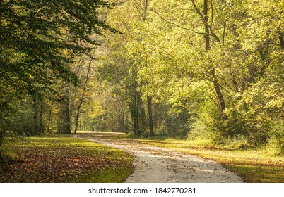 Raleigh, North Carolina/USA-10/28/2020: Neuse River Trail On An Autumn Morning