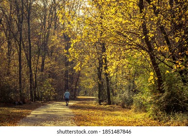 Raleigh, North Carolina/USA-11/10/2020: An Older Man Walks On The Neuse River Trail On An Autumn Morning